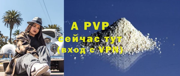 ГАЛЛЮЦИНОГЕННЫЕ ГРИБЫ Елабуга