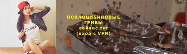 мескалин Ельня