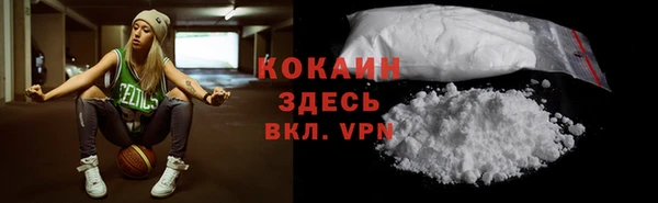 ГАЛЛЮЦИНОГЕННЫЕ ГРИБЫ Елабуга