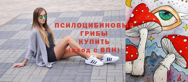 ГАЛЛЮЦИНОГЕННЫЕ ГРИБЫ Елабуга