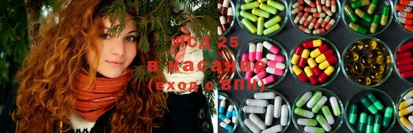 ГАЛЛЮЦИНОГЕННЫЕ ГРИБЫ Елабуга