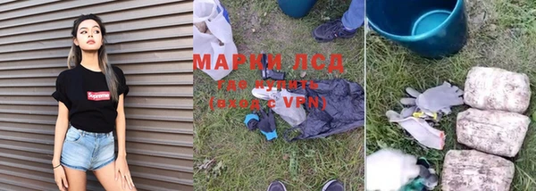 ГАЛЛЮЦИНОГЕННЫЕ ГРИБЫ Елабуга