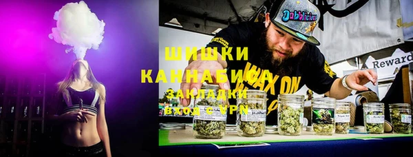ГАЛЛЮЦИНОГЕННЫЕ ГРИБЫ Елабуга