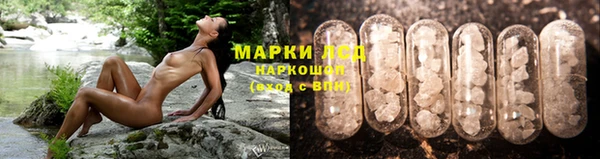 гидропоника Елизово
